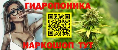 кокс Нальчик