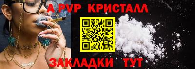 кокс Нальчик